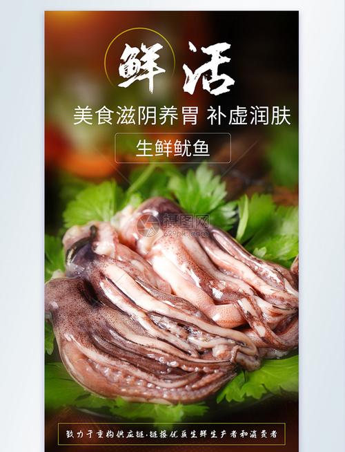 生鲜鱿鱼海鲜生鲜摄影海报鲜活海产品