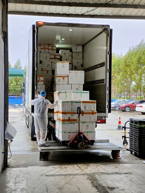 广州冰鲜鸡10小时极速供港 穗企加班加点撑稳生鲜生命线